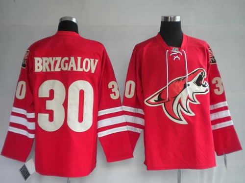 Phoenix Coyotes #30 Bryzgalov red Jerseys,We sell and wholesale Phoenix Coyotes #30 Bryzgalov red Jerseys on line form chian!
