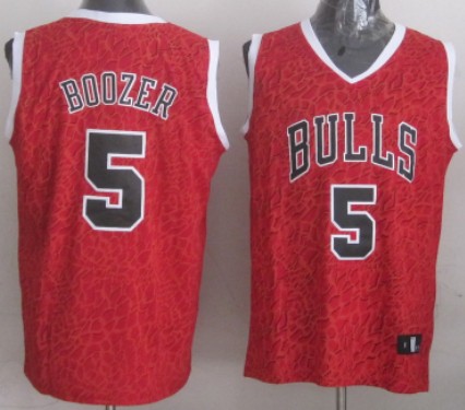 Chicago Bulls #5 Carlos Boozer Red Leopard Print Fashion Jerseys,We sell and wholesale Chicago Bulls #5 Carlos Boozer Red Leopard Print Fashion Jerseys on line form chian!