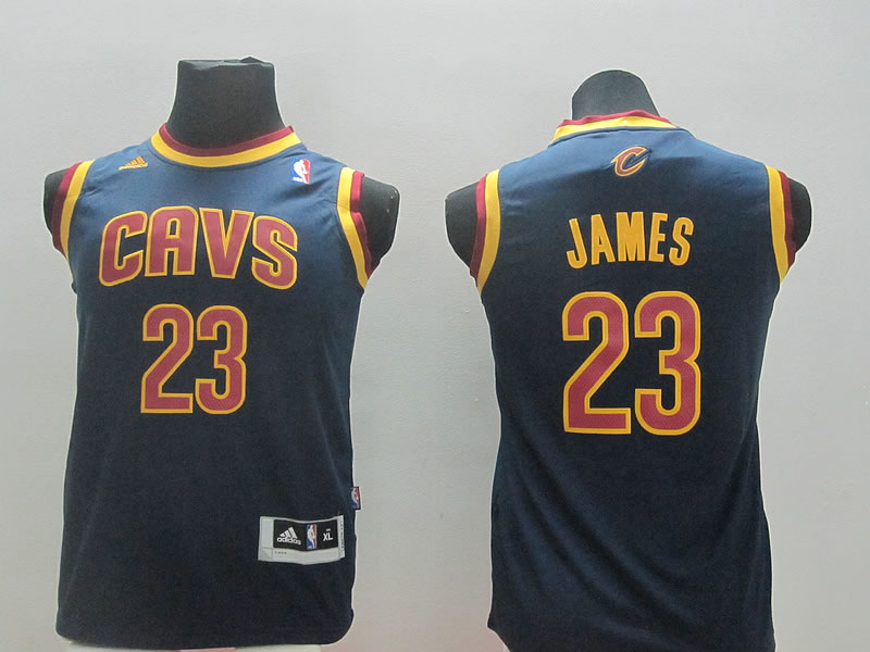 Youth Cleveland Cavaliers #23 LeBron James Revolution 30 Swingman Blue Jerseys,We sell and wholesale Youth Cleveland Cavaliers #23 LeBron James Revolution 30 Swingman Blue Jerseys on line form chian!