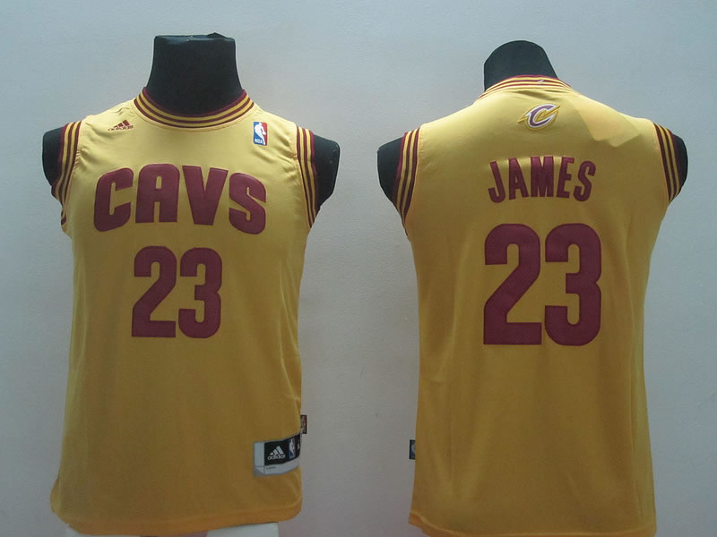 Youth Cleveland Cavaliers #23 LeBron James Revolution 30 Swingman Yellow Jerseys,We sell and wholesale Youth Cleveland Cavaliers #23 LeBron James Revolution 30 Swingman Yellow Jerseys on line form chian!