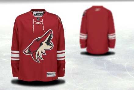 Men Phoenix Coyotes Customized Red Stitched Hockey Jersey,We sell and wholesale Men Phoenix Coyotes Customized Red Stitched Hockey Jersey on line form chian!