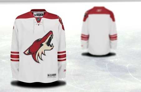 Men Phoenix Coyotes Customized White Stitched Hockey Jersey,We sell and wholesale Men Phoenix Coyotes Customized White Stitched Hockey Jersey on line form chian!