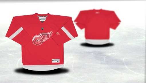 Youth Detroit Red Wings Customized Red Stitched Hockey Jersey,We sell and wholesale Youth Detroit Red Wings Customized Red Stitched Hockey Jersey on line form chian!
