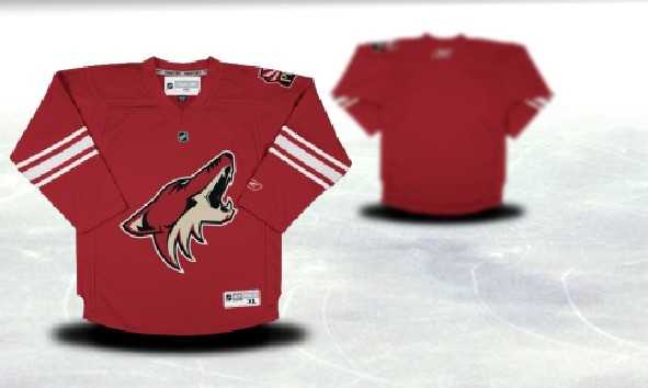 Youth Phoenix Coyotes Customized Red Stitched Hockey Jersey,We sell and wholesale Youth Phoenix Coyotes Customized Red Stitched Hockey Jersey on line form chian!