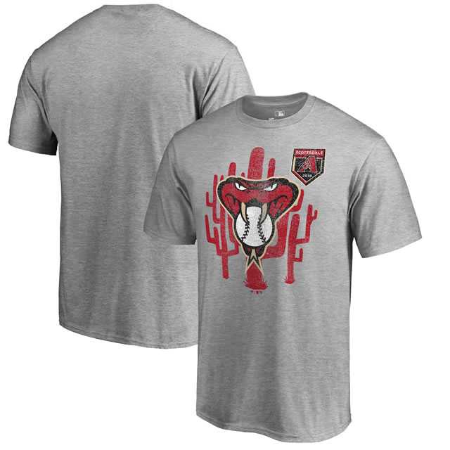 Arizona Diamondbacks Fanatics Branded 2018 MLB Spring Training Vintage T Shirt Heather Gray,We sell and wholesale Arizona Diamondbacks Fanatics Branded 2018 MLB Spring Training Vintage T Shirt Heather Gray on line form chian!
