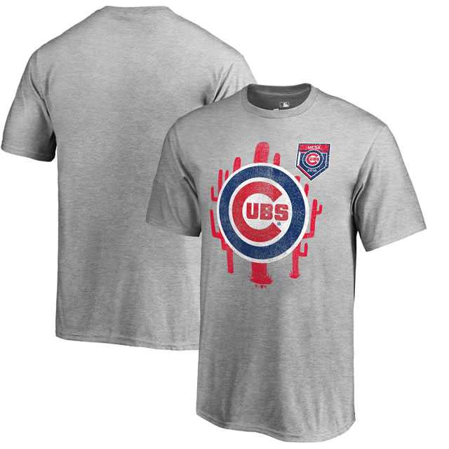 Chicago Cubs Fanatics Branded 2018 MLB Spring Training Vintage T Shirt Heather Gray,We sell and wholesale Chicago Cubs Fanatics Branded 2018 MLB Spring Training Vintage T Shirt Heather Gray on line form chian!