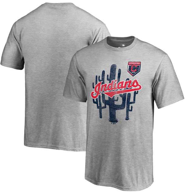 Cleveland Indians Fanatics Branded 2018 MLB Spring Training Vintage T Shirt Heather Gray,We sell and wholesale Cleveland Indians Fanatics Branded 2018 MLB Spring Training Vintage T Shirt Heather Gray on line form chian!