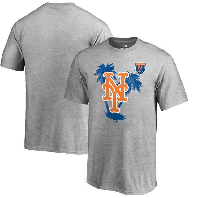 New York Mets Fanatics Branded 2018 MLB Spring Training Vintage T Shirt Heather Gray,We sell and wholesale New York Mets Fanatics Branded 2018 MLB Spring Training Vintage T Shirt Heather Gray on line form chian!