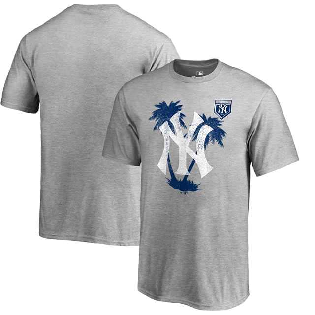 New York Yankees Fanatics Branded 2018 MLB Spring Training Vintage T Shirt Heather Gray,We sell and wholesale New York Yankees Fanatics Branded 2018 MLB Spring Training Vintage T Shirt Heather Gray on line form chian!