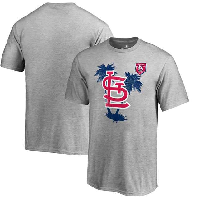 St. Louis Cardinals Fanatics Branded 2018 MLB Spring Training Vintage T Shirt Heather Gray,We sell and wholesale St. Louis Cardinals Fanatics Branded 2018 MLB Spring Training Vintage T Shirt Heather Gray on line form chian!