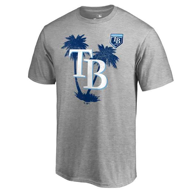 Tampa Bay Rays Fanatics Branded 2018 MLB Spring Training Vintage T Shirt Heather Gray,We sell and wholesale Tampa Bay Rays Fanatics Branded 2018 MLB Spring Training Vintage T Shirt Heather Gray on line form chian!