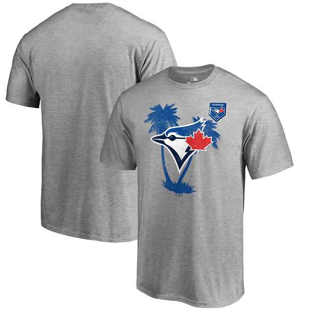 Toronto Blue Jays Fanatics Branded 2018 MLB Spring Training Vintage T Shirt Heather Gray,We sell and wholesale Toronto Blue Jays Fanatics Branded 2018 MLB Spring Training Vintage T Shirt Heather Gray on line form chian!