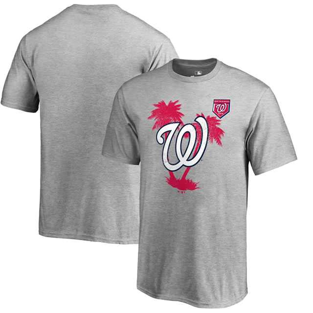 Washington Nationals Fanatics Branded 2018 MLB Spring Training Vintage T Shirt Heather Gray,We sell and wholesale Washington Nationals Fanatics Branded 2018 MLB Spring Training Vintage T Shirt Heather Gray on line form chian!