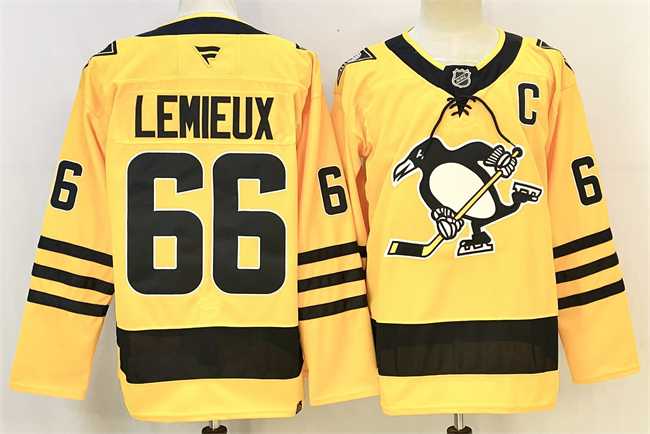 Men's Pittsburgh Penguins #66 Mario Lemieux Gold 2025-26 With C Patch Alternate Stitched Hockey Jersey,We sell and wholesale Men's Pittsburgh Penguins #66 Mario Lemieux Gold 2025-26 With C Patch Alternate Stitched Hockey Jersey on line form chian!